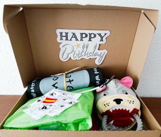 Caja cumpleaños XL para mascotas personalizada