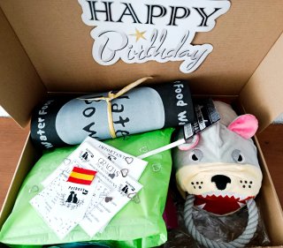 Caja cumpleaños XL para mascotas personalizada