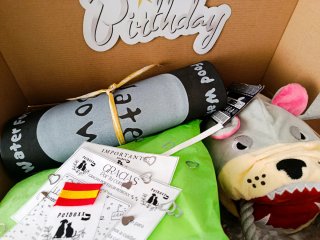 Caja cumpleaños XL para mascotas personalizada