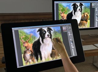 Wacom Cintiq Pro 24 + Brazo Flex