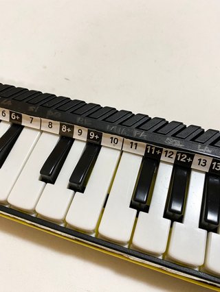 Bontempi CarryKeys Diamonica 25 Tasti con Custodia