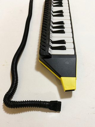 Bontempi CarryKeys Diamonica 25 Tasti con Custodia