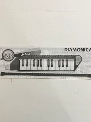 Bontempi CarryKeys Diamonica 25 Tasti con Custodia
