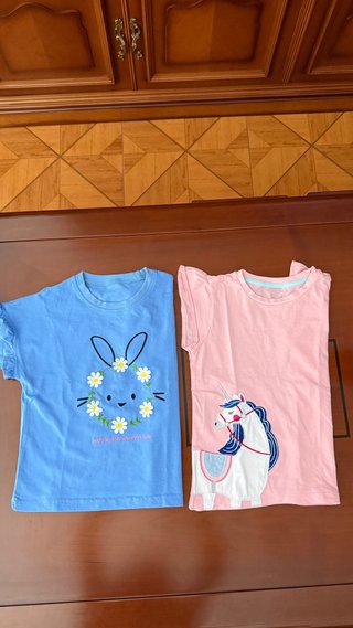 Camisetas ,se pusieron UNA VEZ