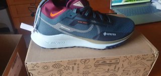 Zapatillas Nike Gore-Tex Nuevas Talla 42