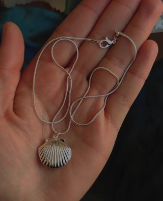 Collar Plata 925 Colgante Concha