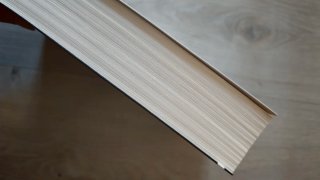 El Rapto del Cisne
