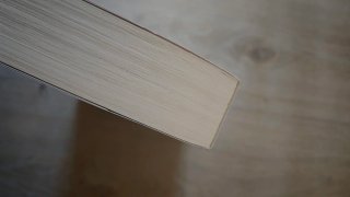 El Rapto del Cisne