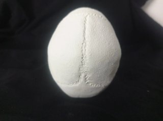 Calavera de yeso decorativa