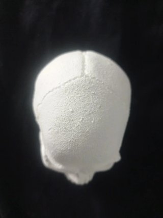 Calavera de yeso decorativa