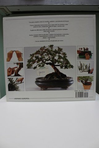 El gran libro ilustrado del Bonsái