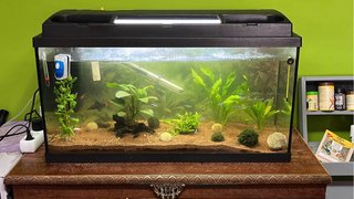 Acuario 100L