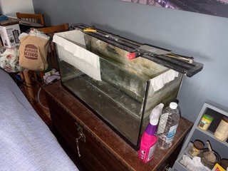 Acuario 100L
