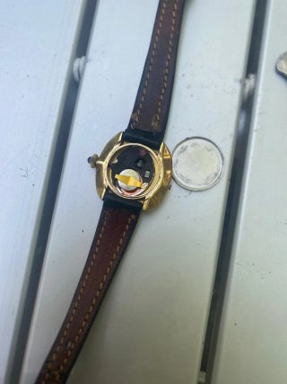 Reloj Royca Lady Cuarzo Negro/Dorado