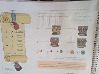 Música 5 Primaria