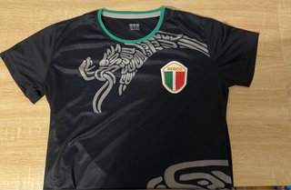 Lote 2 Camisetas Entrenamiento México