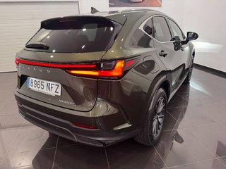 Lexus NX 450H + PREMIUM + 4WD