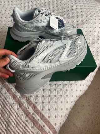Zapatillas Lacoste Grises y Plateadas