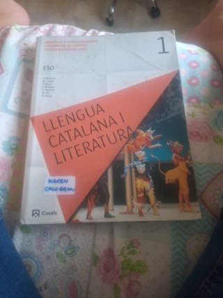 Llengua catalana i Literatura 1 ESO (2017)
