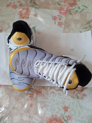 Zapatillas Nike Air Max Plus TN SE