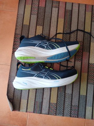 Zapatillas Asics Nimbus 26 Talla 46