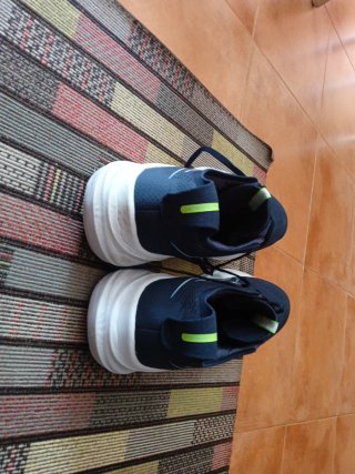Zapatillas Asics Nimbus 26 Talla 46
