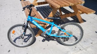 Bicicleta infantil Rueda 20