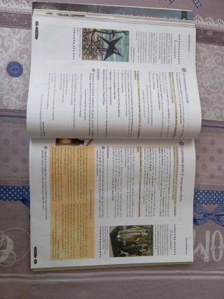 Lengua castellana y literatura Geniox