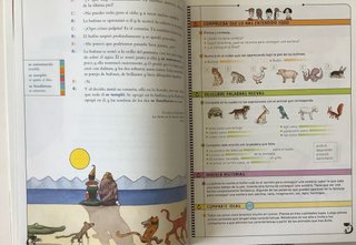 LIBRO LECTURAS 5 PRIMARIA ED SM