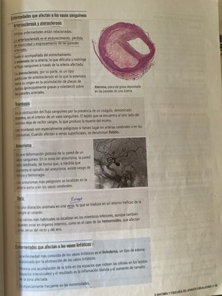 Proyecto: FanFest - Biología y Geología 3 ESO