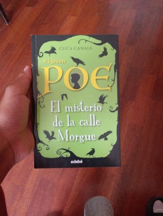 El Misterio de la Calle Morgue