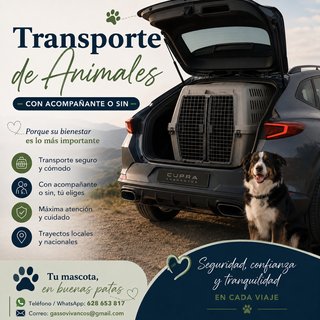Transporte de Mascotas por Carretera