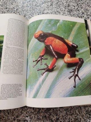 Enciclopedia historia natural 12 tomos