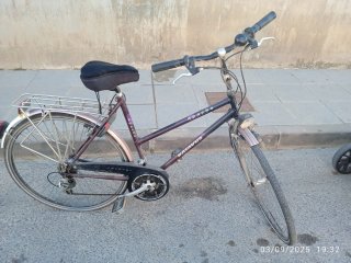 Bicicleta con portabultos y sillín Selle Royal