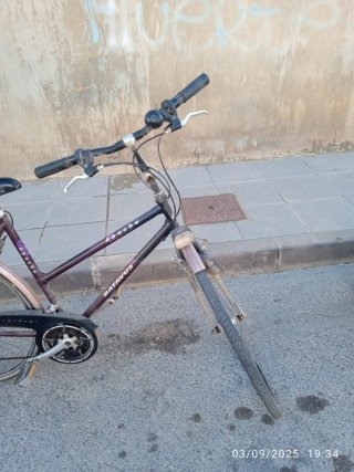 Bicicleta con portabultos y sillín Selle Royal