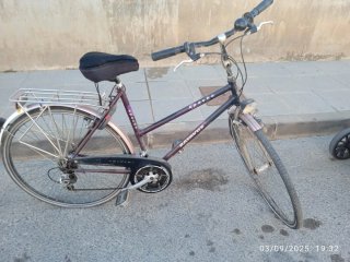 Bicicleta con portabultos y sillín Selle Royal