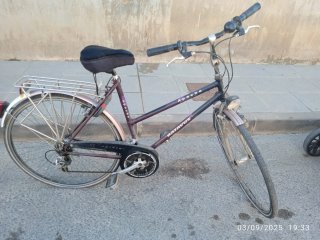 Bicicleta con portabultos y sillín Selle Royal