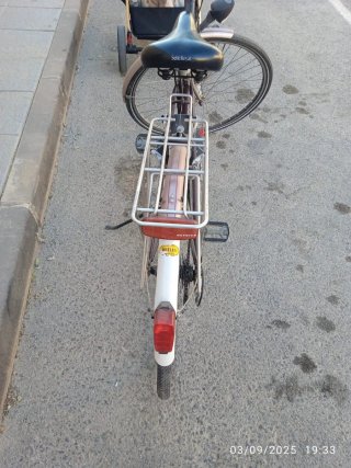 Bicicleta con portabultos y sillín Selle Royal