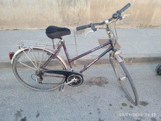 Bicicleta con portabultos y sillín Selle Royal