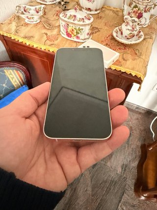 iPhone 13 Rosa 256GB