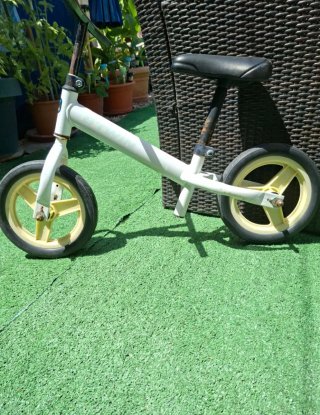 Bici de aprendizaje RunRide 100