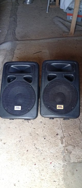 Altavoz AVL 12 Autoamplificado