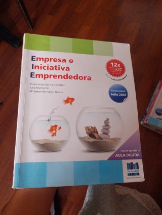 Libro Empresa e Iniciativa Emprendedora