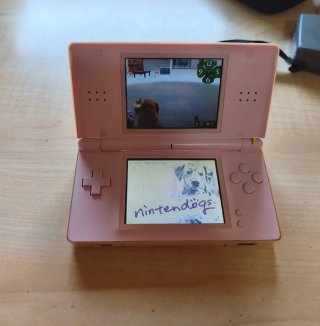 Nintendo DS Lite Rosa + Accesorios