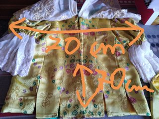 Traje de Fallera Multicolor