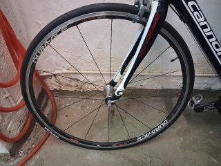 Cannondale Synapse Carbon Bicicleta