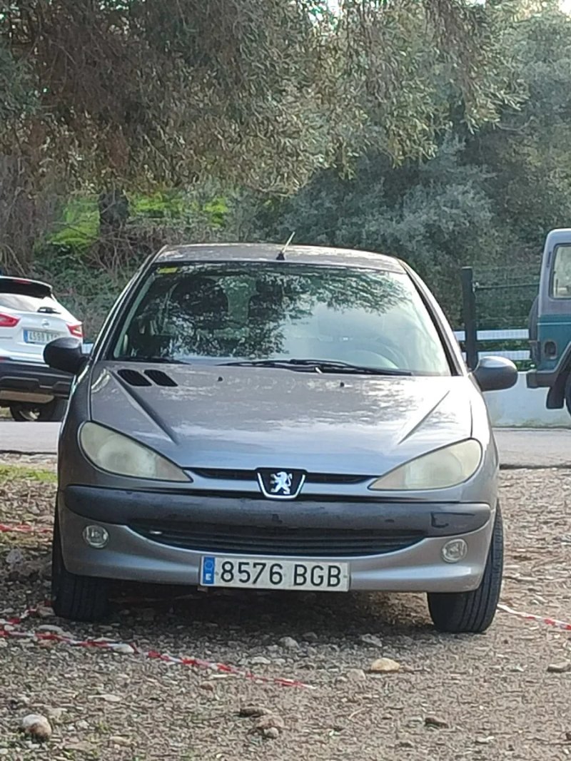 Peugeot 206 2002 - foto 1