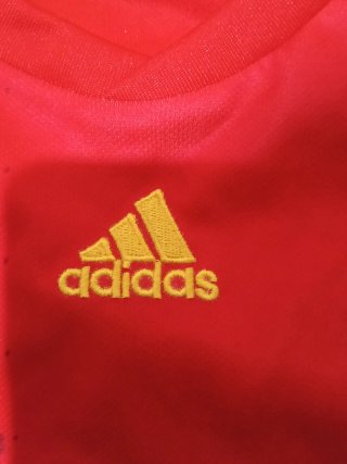 Camiseta España Ramos 2009