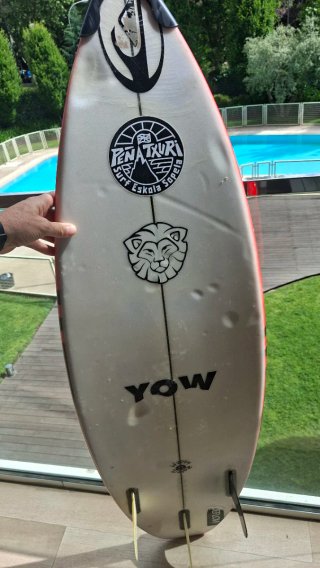 Tabla Surf Junior 4'11 17L