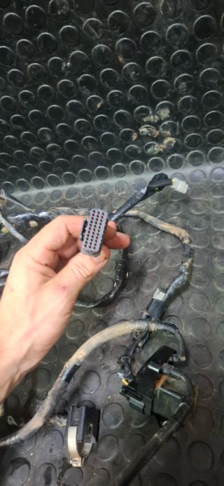 Instalación CDI Stator Kawasaki KXF 450